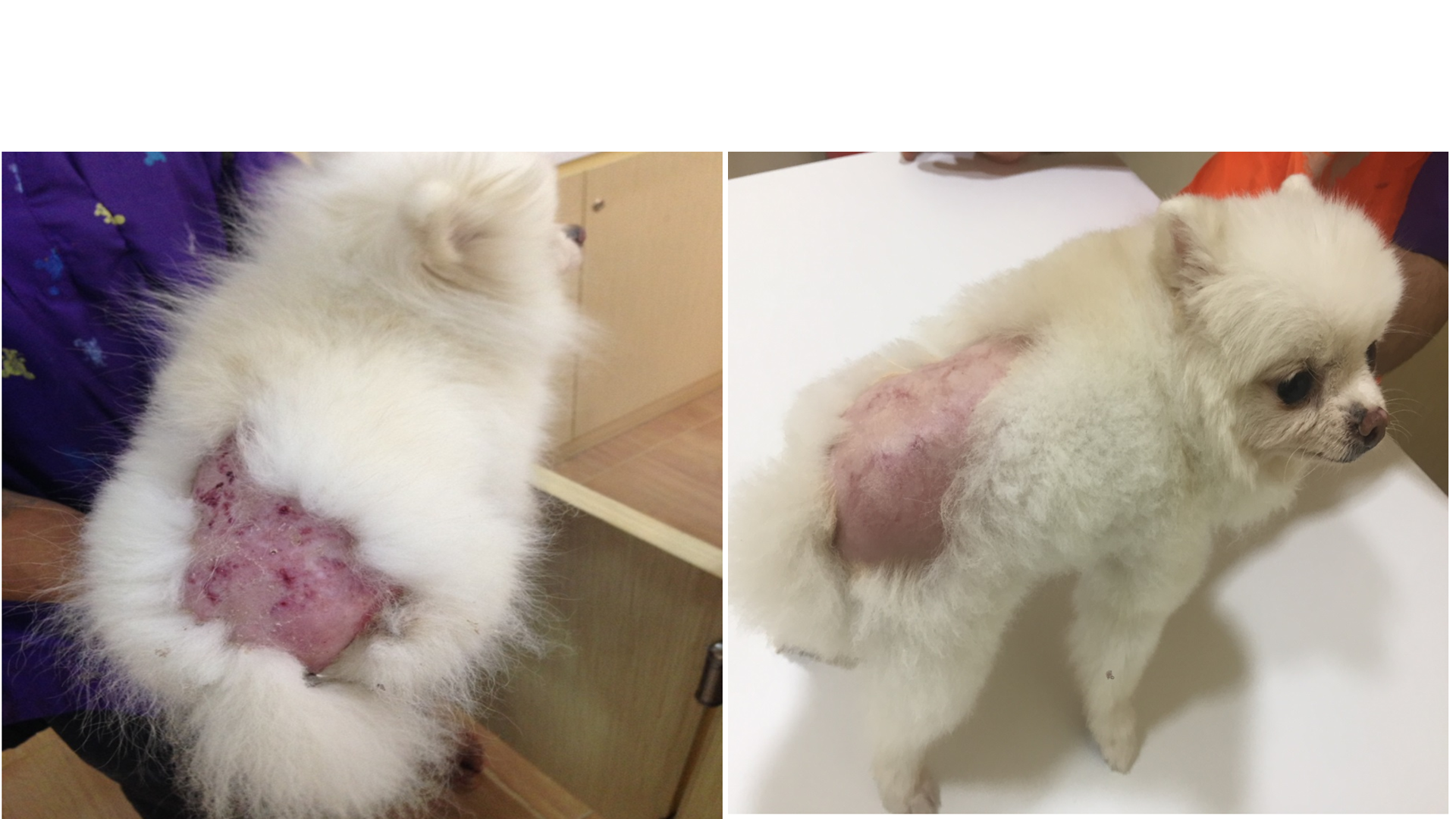 ผิวอักเสบ Dermatitis ก่อน/หลัง