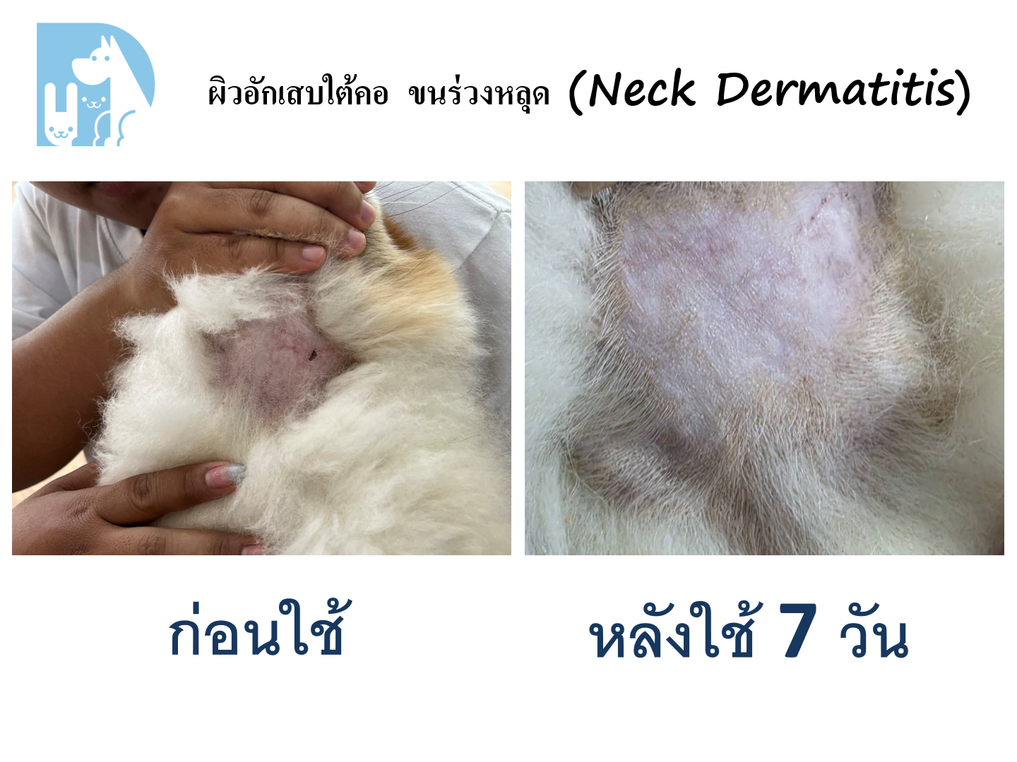 ผิวอักเสบใต้คอ ขนร่วงหลุด ฟื้นฟูใน 7 วัน