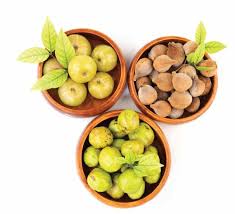 ตรีผลา Triphala Phyllanthus emblica