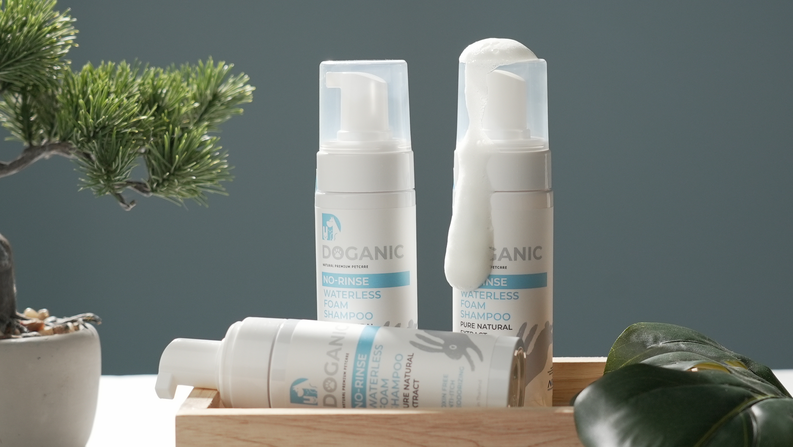Doganic Waterless Foam Shampoo